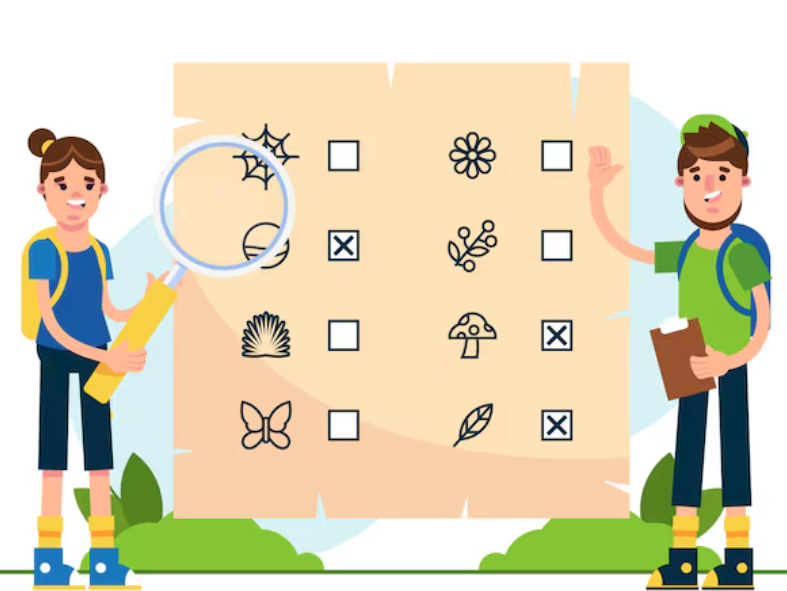 Simple guide to exploring OK Win game features