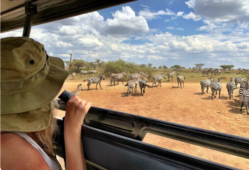 Ultimate Kenya Safari Guide: Best Parks, Wildlife & Travel Tips